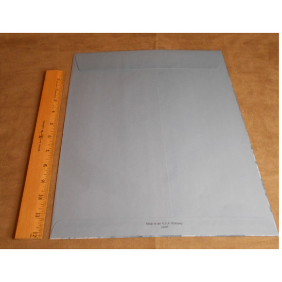 Hunchback of Notre Dame 1997 Envelope Only Disney Commemorative Lithograph - Picture 3 of 3